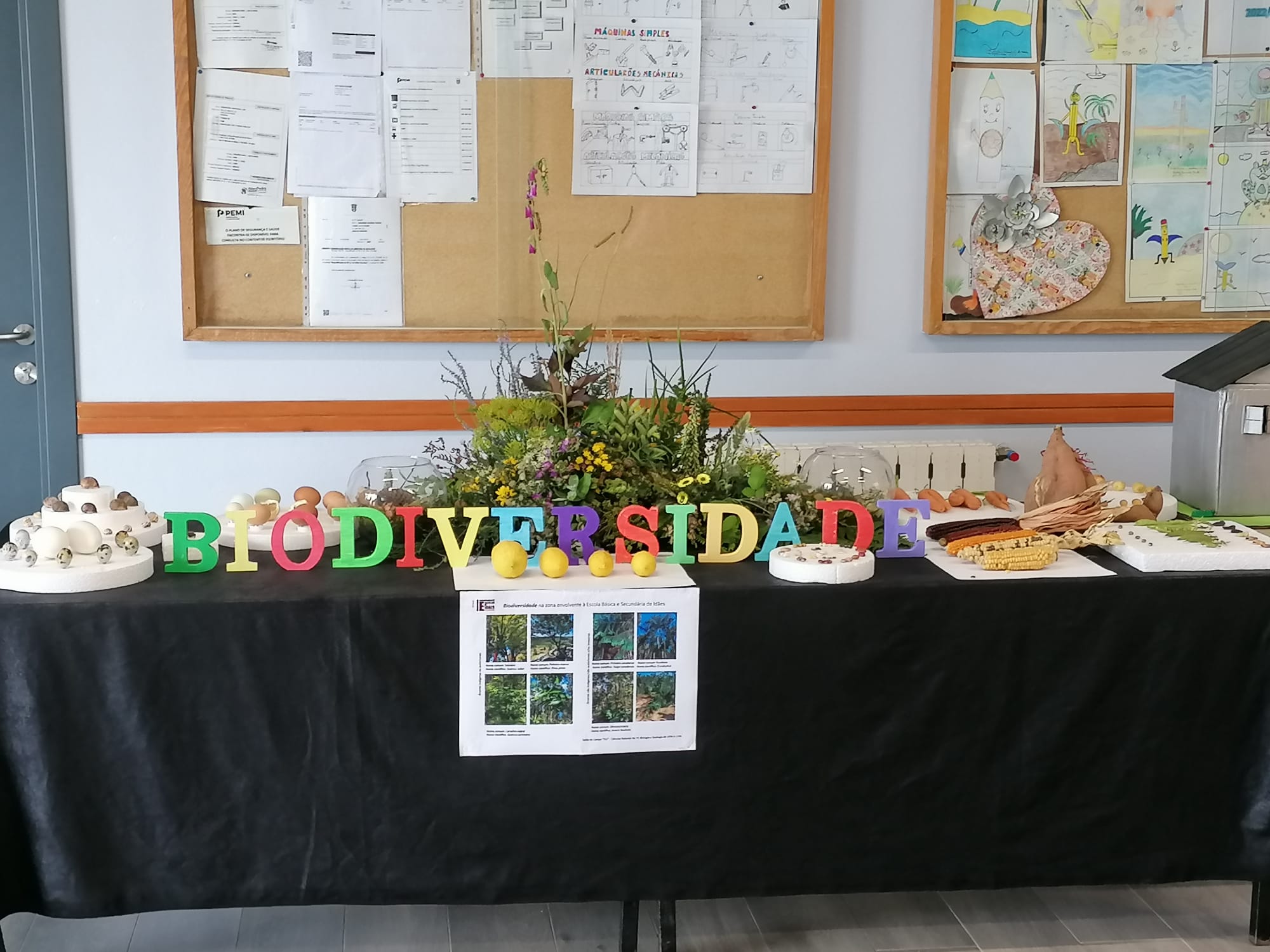 Exposição I BIODIVERSIDADE